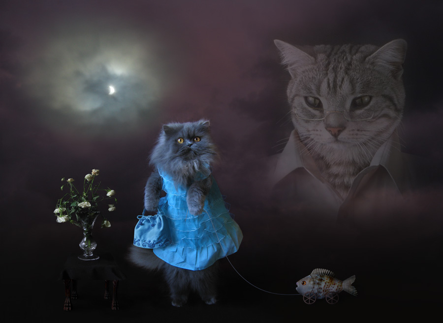 Девичьи мечты