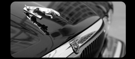 Jaguar. The Jaguar.