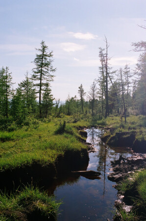 Саянское болото 1