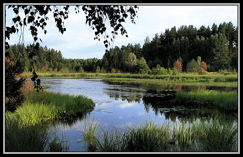 Запахло осенью