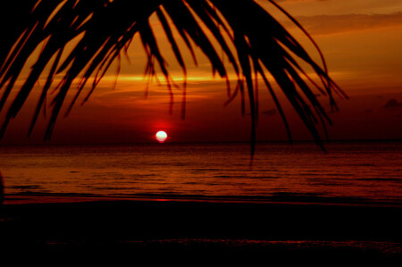 Borneo Sunset