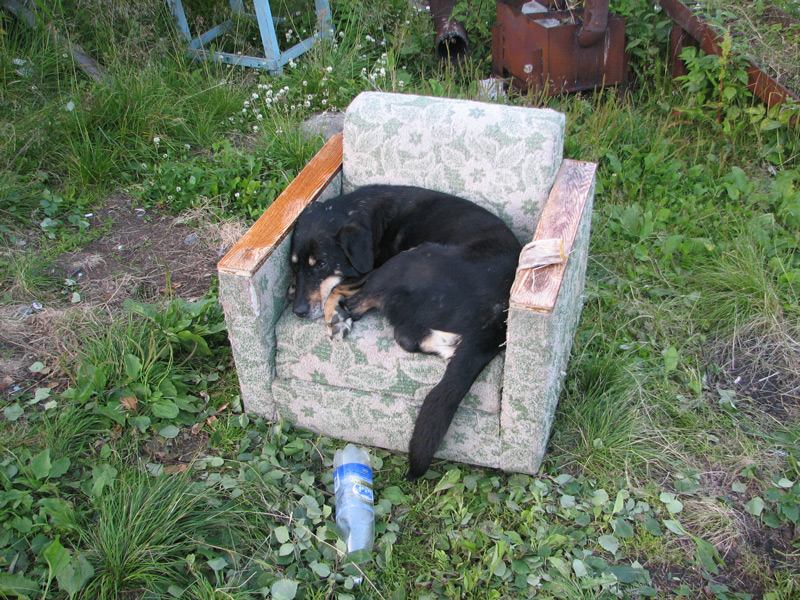 Будку потерял