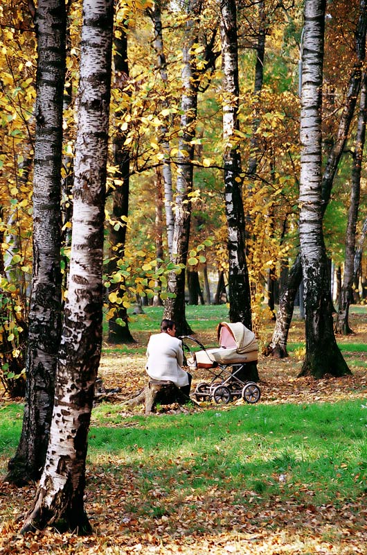 Осенний этюд