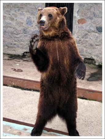 Чемпион по армреслингу :)