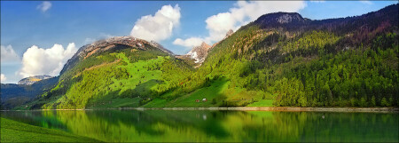 Рельефы альпийских лугов