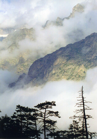 Уровни реальности