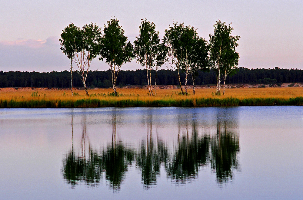 Берег