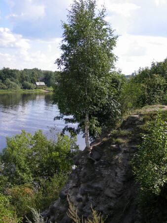 Высоко сижу - далеко гляжу