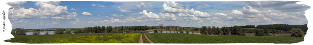 Дорога.