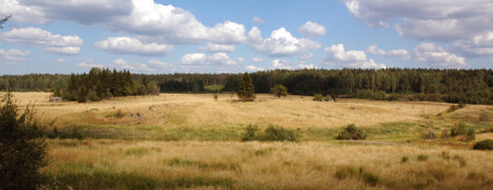 Большое Поле