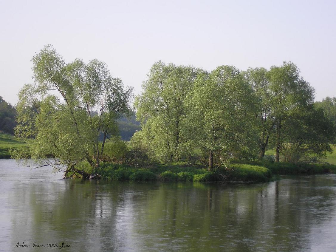 Остров на реке