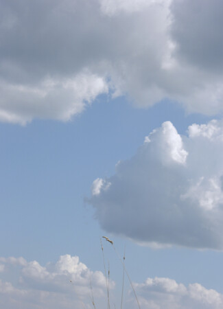 Нависшие глыбы