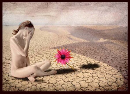 Desert Rose
