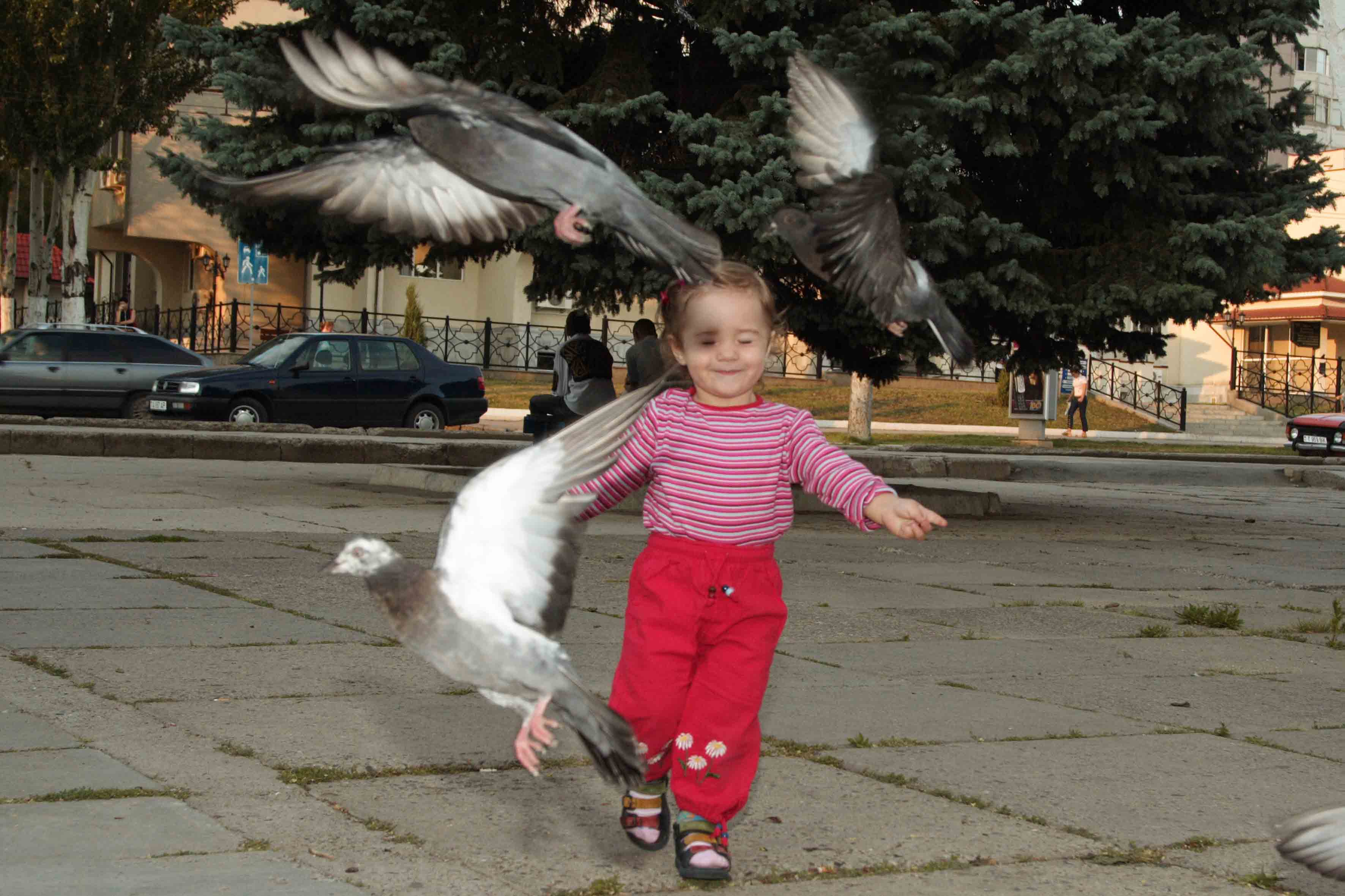 гули-гули)))