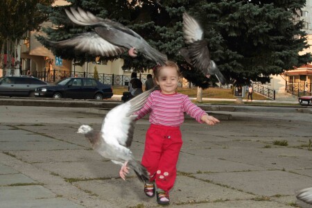 гули-гули)))