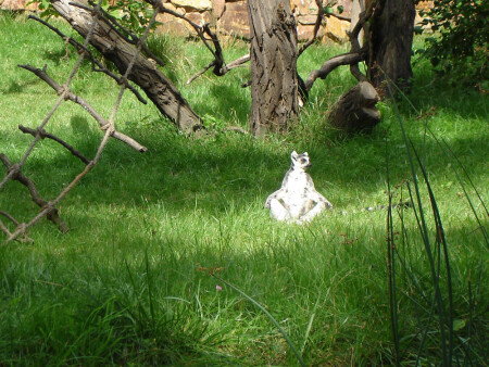 Лямуррррр - лимуурррр!!!!