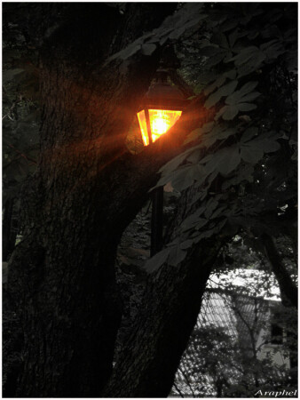 Hidden light