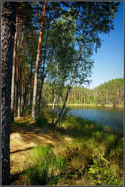 У озера