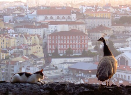 Lisboa