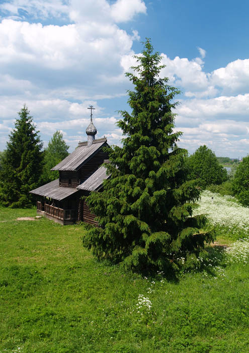 Великий Новгород. Витославицы