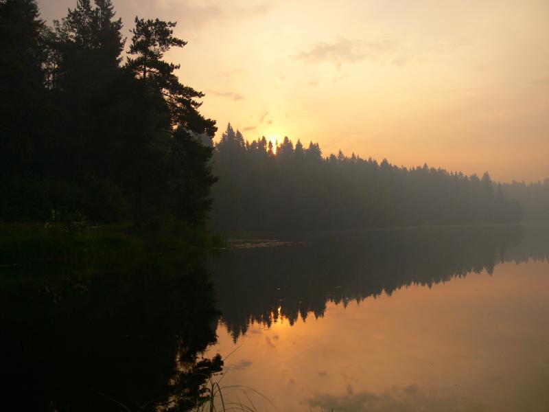 Утро на реке