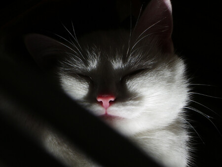 таинственная