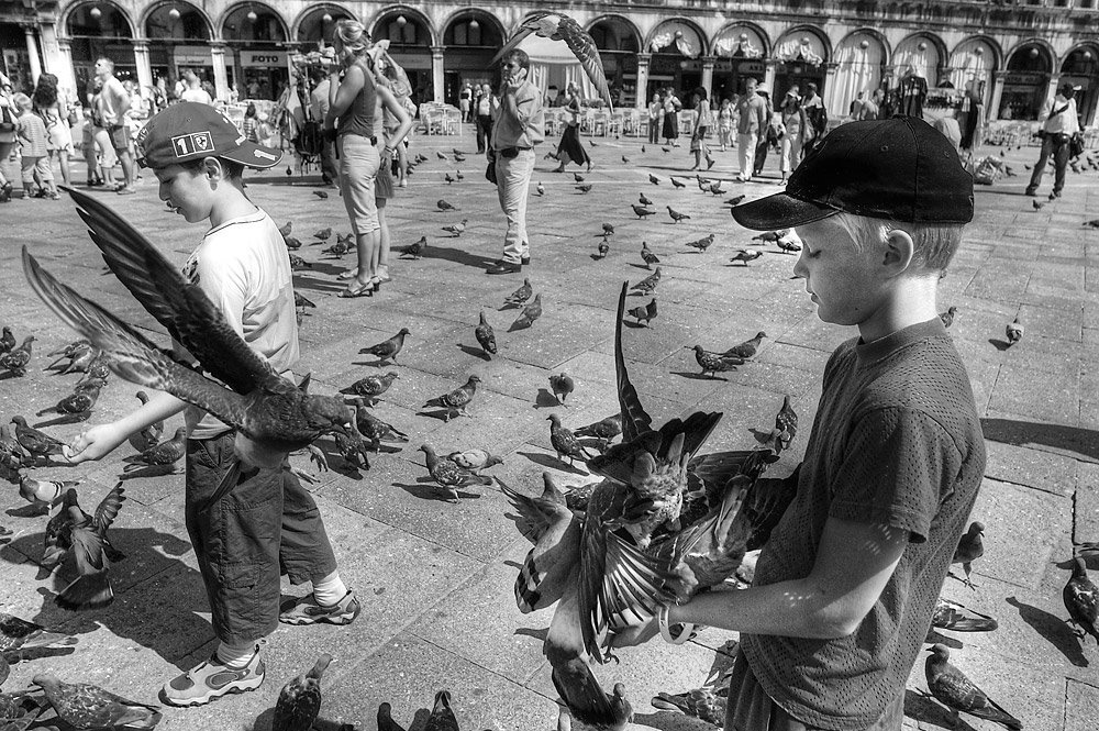 Про Сан-Марко и общепит фотка.