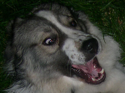 Ой, что это???