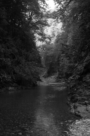 Тёмная сторона.