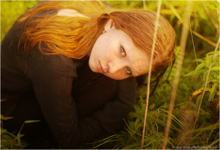 gingery
