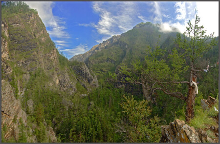 Дотянуться до небес