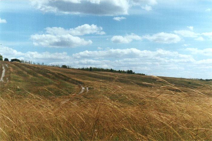 Родной для сердца край