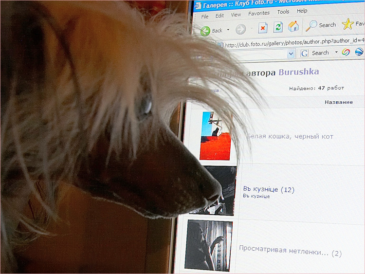 А что, кузнецы уже кончились?!