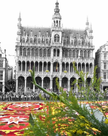 Brussels