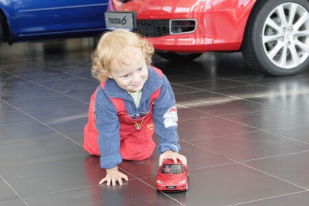 Радость Жизни