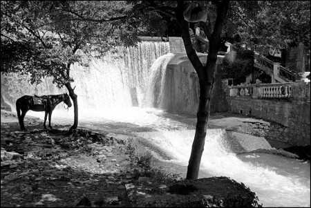 про лошадку