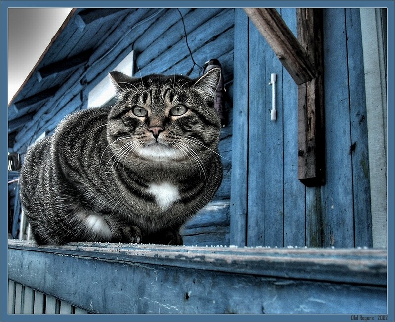 ОрёлЪ