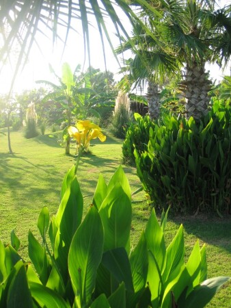 окно в лето