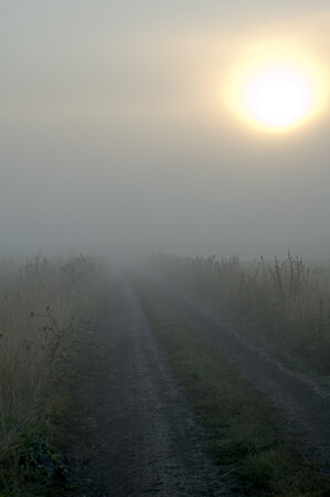 &amp;quot;Эх, дороги...&amp;quot;