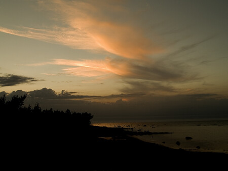 ПРЕДНОЧНОЕ