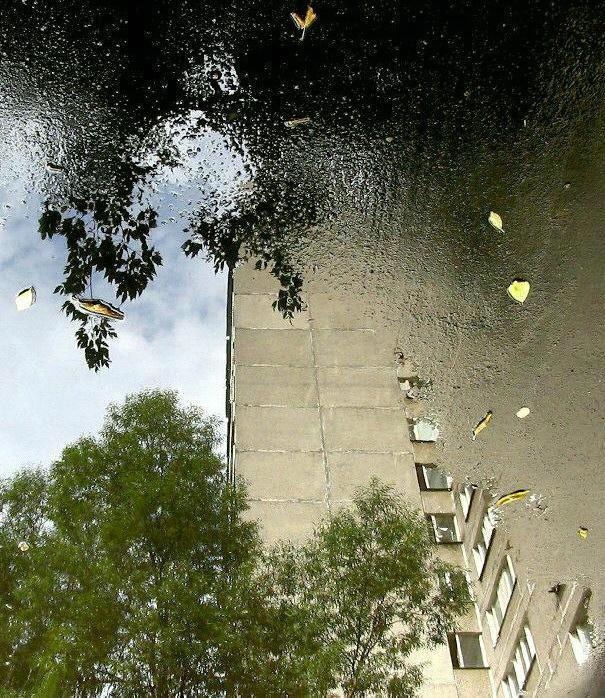 дом, упавший в лужу