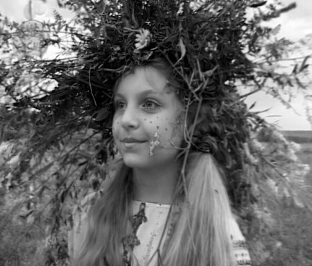 Красное лето, зеленый покос