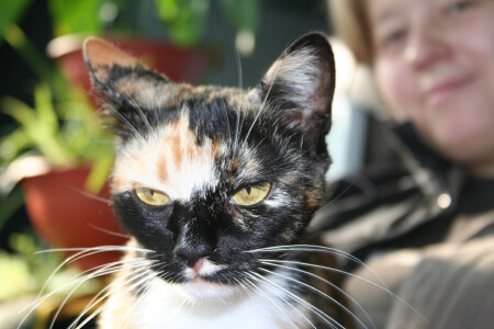 Фотосессия. &amp;quot;Мурлыкать точно не буду...&amp;quot;