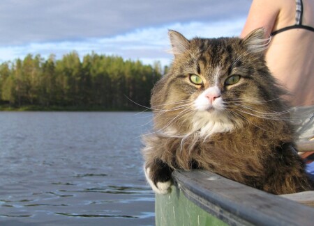 Лодочный поход