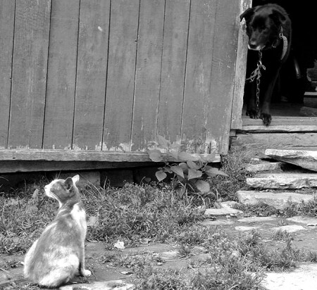 Настоящий сторож :)