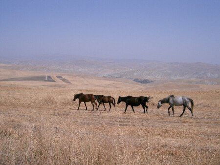 Широка страна моя родная...