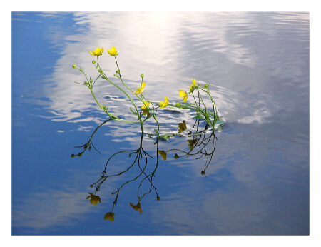 наводнение..