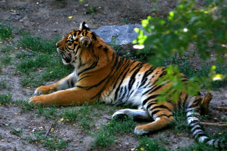Охотник