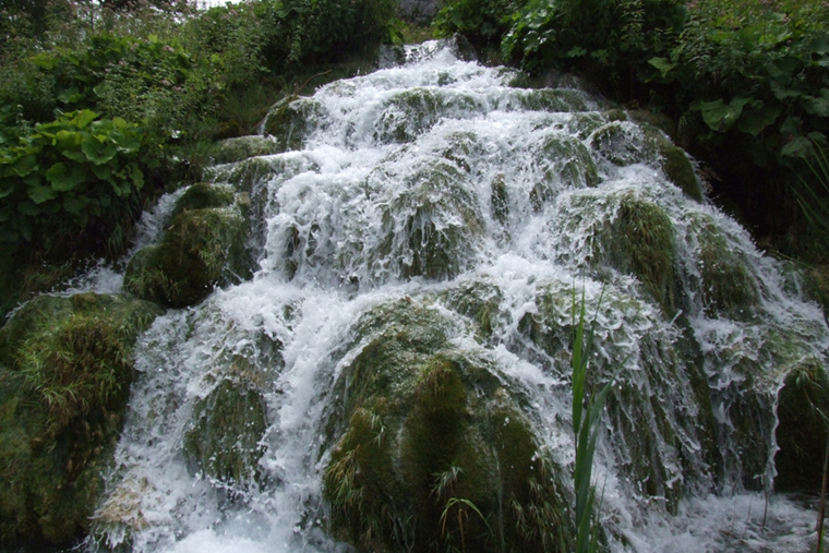 Живая вода
