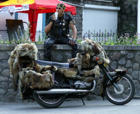 ...*The vehicle?, - - The way of living*...